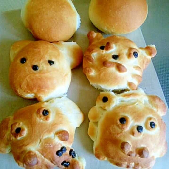 動物たちの パン レシピ 作り方 By あっこサンバ 楽天レシピ 動物たちの パン レシピ 作り方 By あっこサンバ 楽天レシピ